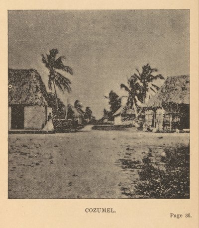 Cozumel von Alice Dixon Le Plongeon