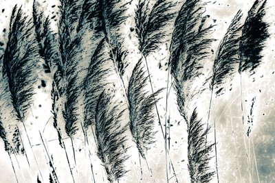 Wind aus dem Westen von Alice Gur-Arie