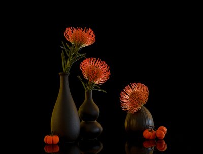  von Alice Sheng