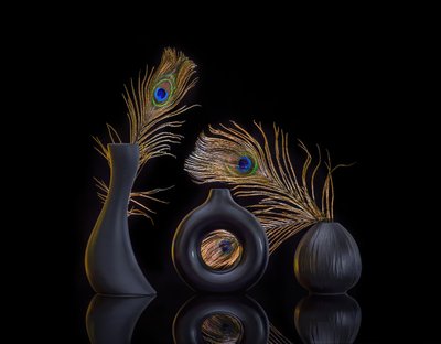  von Alice Sheng