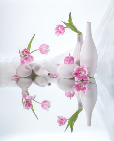  von Alice Sheng
