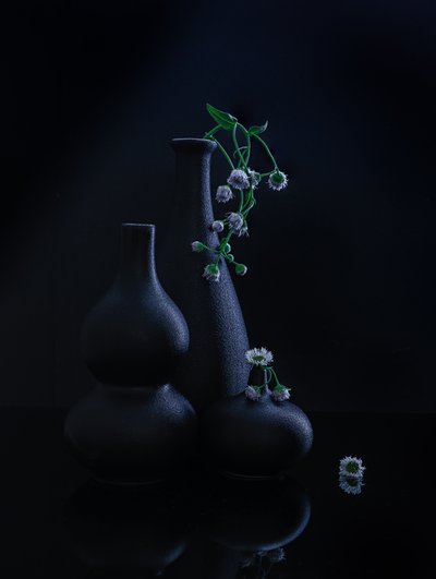  von Alice Sheng