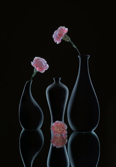  von Alice Sheng
