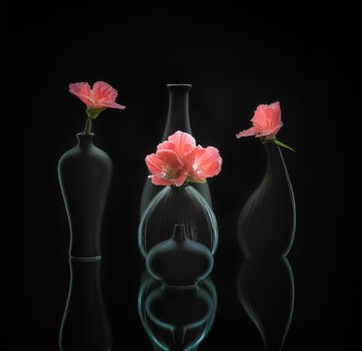  von Alice Sheng