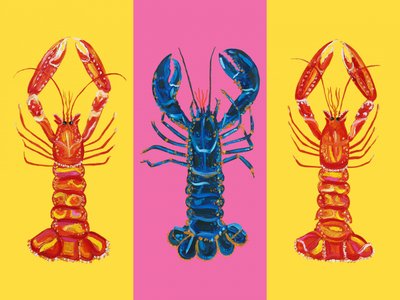 Hummer Langoustinen Pop Art 2 von Alice Straker