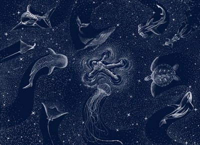 Kosmischer Ozeantraum von Alirıza ÇAKIR