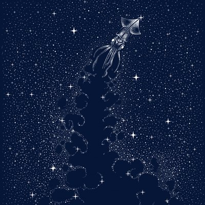 Kosmischer Tintenfischaufstieg von Alirıza ÇAKIR