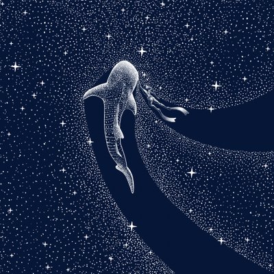 Walhai-Galaxie-Reise von Alirıza ÇAKIR