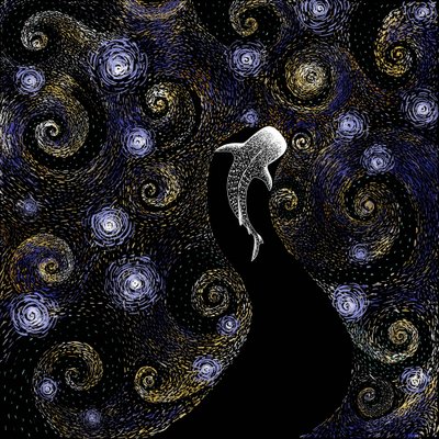 Walhai Sternennacht von Alirıza ÇAKIR