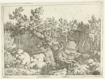 Landschaft mit Jäger bei großem Baum von Allaert van Everdingen