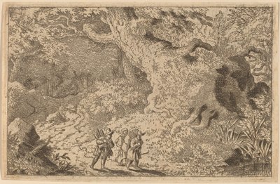 Ein dichter Wald von Allart van Everdingen