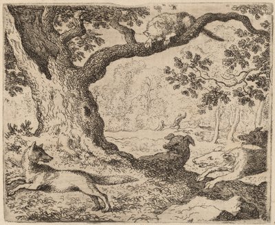 Reynards Vater und die von Hunden verfolgte Katze, wahrscheinlich ca. 1645-1656 von Allart van Everdingen