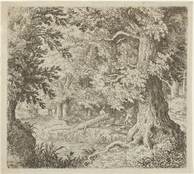 Der Bach im Wald, 17. Jahrhundert von Allart van Everdingen
