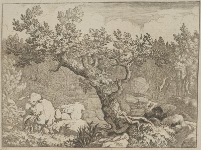 Der Jäger nahe dem großen Baum von Allart van Everdingen
