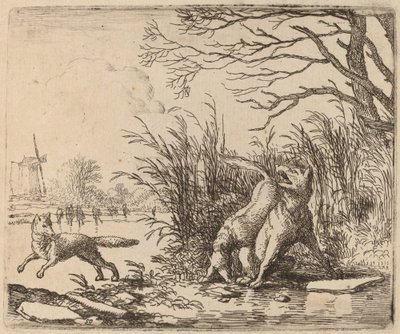 Die Wölfe auf dem Eis, wahrscheinlich ca. 1645-1656 von Allart van Everdingen