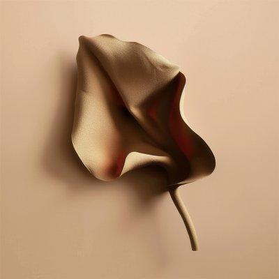 Weiche organische Form von Alma