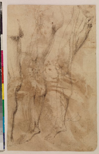 Drei Studien eines männlichen Beins (verso) c.1537 von Alonso (workshop of) Berruguete