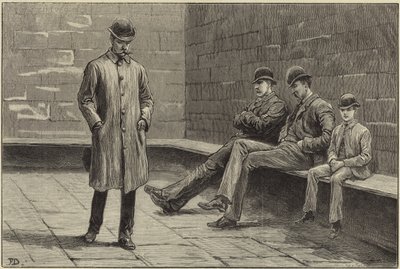 Der Zustand Irlands von Aloysius O