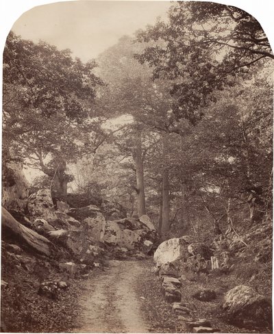 Fontainebleau, um 1860er von Alphonse Francois Jeanrenaud
