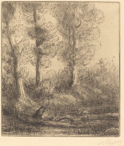 Ufer des Saint-Pre von Alphonse Legros