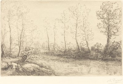 Birken: Wasserrand im Morgenlicht von Alphonse Legros