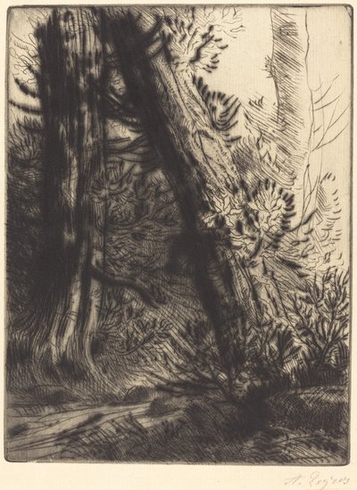 Am Rande eines Baches von Alphonse Legros