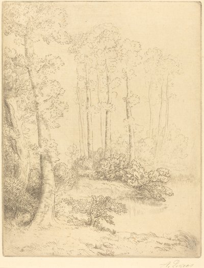Am Wasser von Alphonse Legros