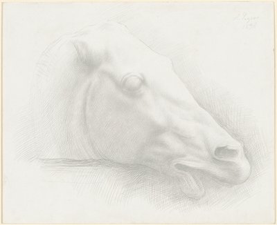Kopf eines Pferdes vom Parthenon, 1898 von Alphonse Legros