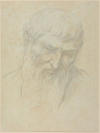Kopf eines Mannes mit lockigem Haar und Bart von Alphonse Legros