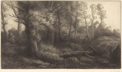 Im Wald (Lisiere de foret) von Alphonse Legros