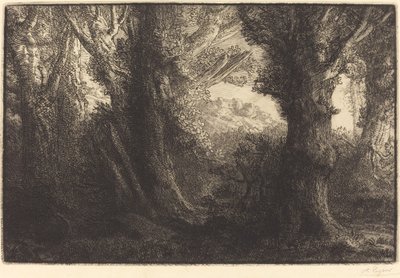 Im Wald von Conteville (Dans la forêt de Conteville) von Alphonse Legros
