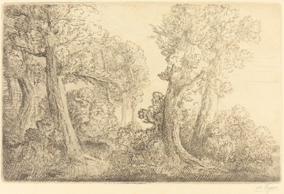 Nahe dem Wald, Veronne von Alphonse Legros