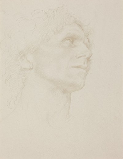 Studie eines Frauenkopfes, nach rechts gewandt von Alphonse Legros