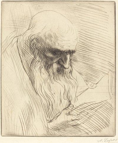 Studie des Kopfes eines lesenden Mannes von Alphonse Legros