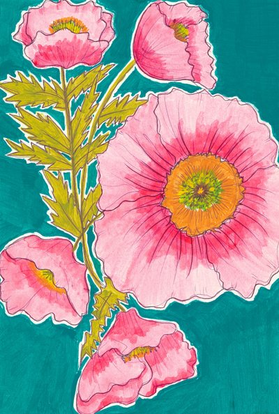 Lebendige rosa Mohnblumen von Alyssa Hamilton
