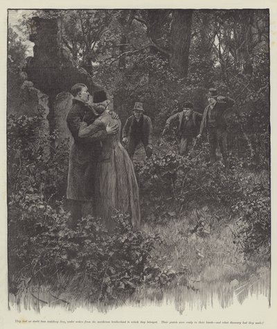 Blinde Liebe, von Wilkie Collins von Amedee Forestier