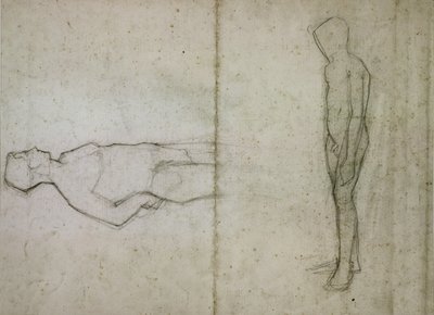 Junger Akt von Amedeo Modigliani