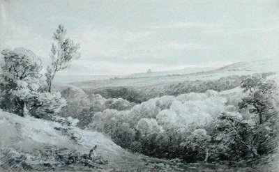 Whitby Abbey, von Mulgrave von Amelia Long
