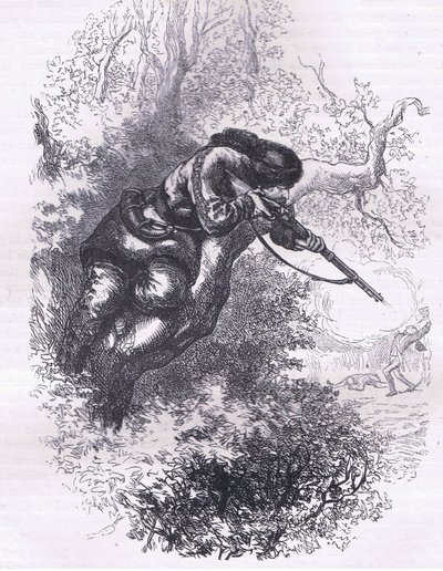 Amerikanischer Scharfschütze auf einem Baum, Illustration aus Cassells Geschichte der Vereinigten Staaten, veröffentlicht von Cassell, Petter & Galpin, ca. 1900 von American English school