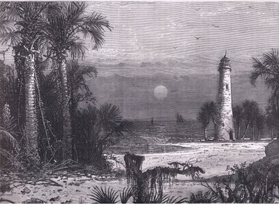 Ansicht der Küste von Florida, Illustration aus Cassells Geschichte der Vereinigten Staaten, veröffentlicht von Cassell, Petter & Galpin, ca. 1900 (Lithografie) von American English school