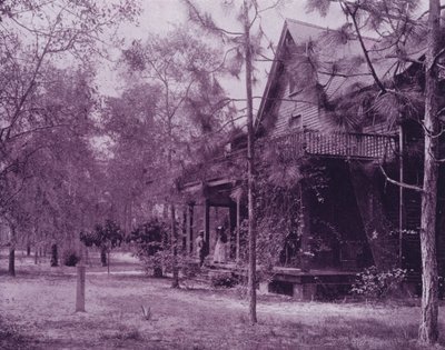 Ein Zuhause im Schatten der Südkiefern, Florida (s/w Foto) von American Photographer (after)
