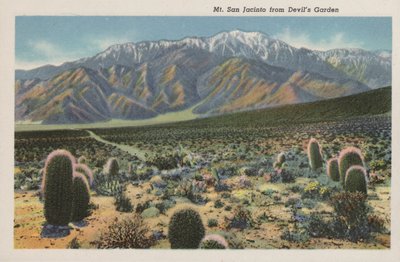 Kalifornien: Mount San Jacinto vom Devil