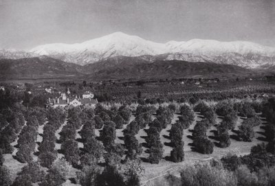 Kalifornien: Redlands, von Smiley Heights, Sonnenschein, Orangenhaine und schneebedeckte Gipfel von American Photographer (after)