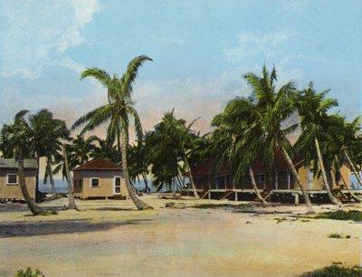 Hütten im Long Key Fishing Camp (Foto) von American Photographer (after)