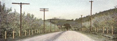 Oregon: Eine Straße im Hood River Valley von American Photographer (after)