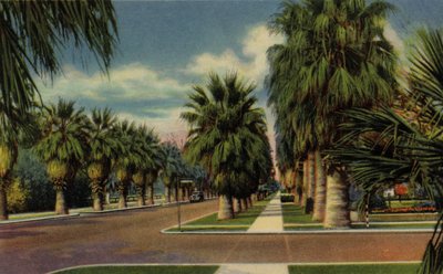 Phoenix, Arizona: North Central Avenue von American Photographer (after)
