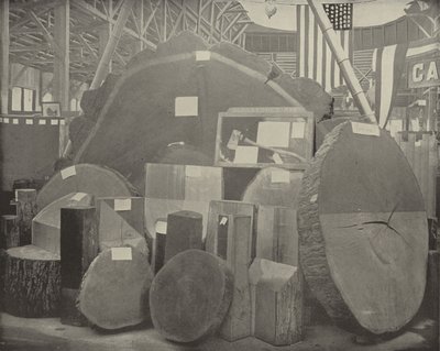 Gladstones Axt von American Photographer