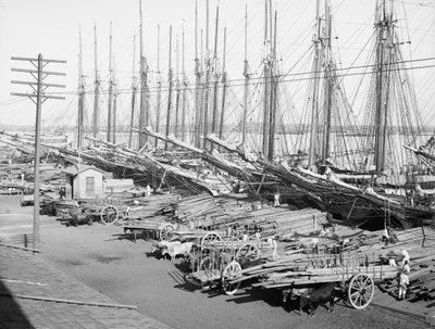 Muelle Tallapiedras, Havanna, ca. 1904 von American Photographer