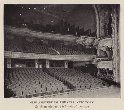 New Amsterdam Theatre, New York von American Photographer