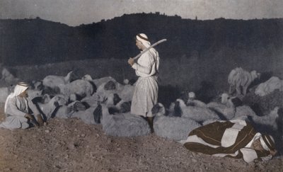 Palästinensische Hirten, die nachts ihre Herde bewachen von American Photographer